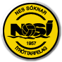 NSI_Runavik.gif