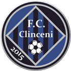 Fotbal Club Academica Clinceni