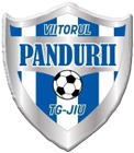 Asociația Clubul Sportiv Viitorul Pandurii Tārgu Jiu