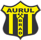 Clubul Sportiv Municipal Aurul Brad