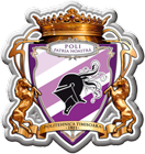 Societatea Sportivă Universitară Politehnica Timișoara