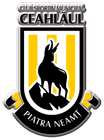 Club Sportiv Municipal Ceahlăul Piatra Neamț