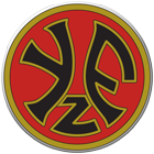 Young Fellows Football Club (Zürich)