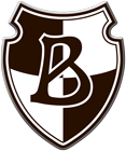 Verein für Ballspiel Borussia 1905